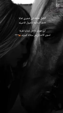 شوق قلبي ما هدا به ♦️٠٠#روحي_فداله #عبدالله_ال_فروان #شيلات #اكسبلوررررر #جديد #fyp #CapCut #مجرد_ذووقツ🖤🎼 #الكويت #لبنان #البحرين #الجزائر #تونس #الاردن #الامارات #قطر #مصر  #ترند_جديد #ترند #شيلات #خواطر #تصميم_فيديوهات🎶🎤🎬 