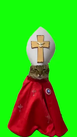 pope americano cat meme #pope #catmeme #meme #memecut #CapCut 