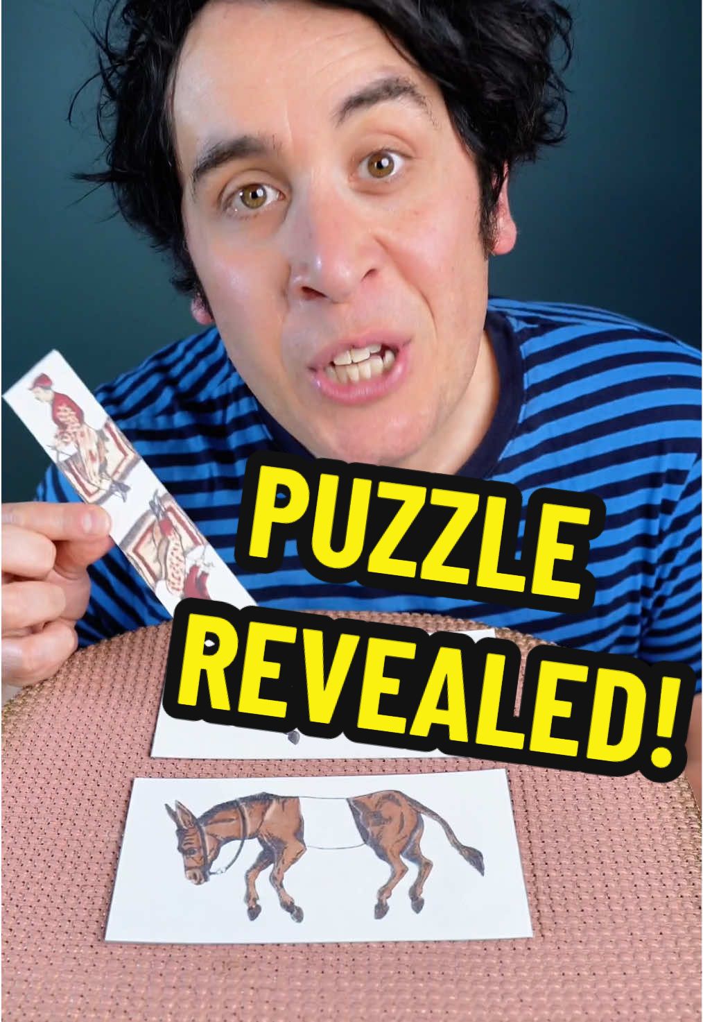 Donkey Puzzle REVEALED!🫏 If you like puzzles, optical illusions and magic, I'm on tour in 2025 with a brand new live show featuring all that good stuff! Check all the dates in my bio☝️☝️☝️ #magictrick #magician #puzzle #fyp