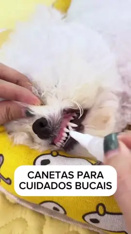 🐶🦷 Mantenha a boca do seu cãozinho livre de bactérias com o Kit de Canetas para Cuidados Bucais! 🖊️✨ #foryou #fyp #fypシ #fypシ゚viral #cachorrosdotiktok #dog #cachorro #cachorros #dogsoftiktok 