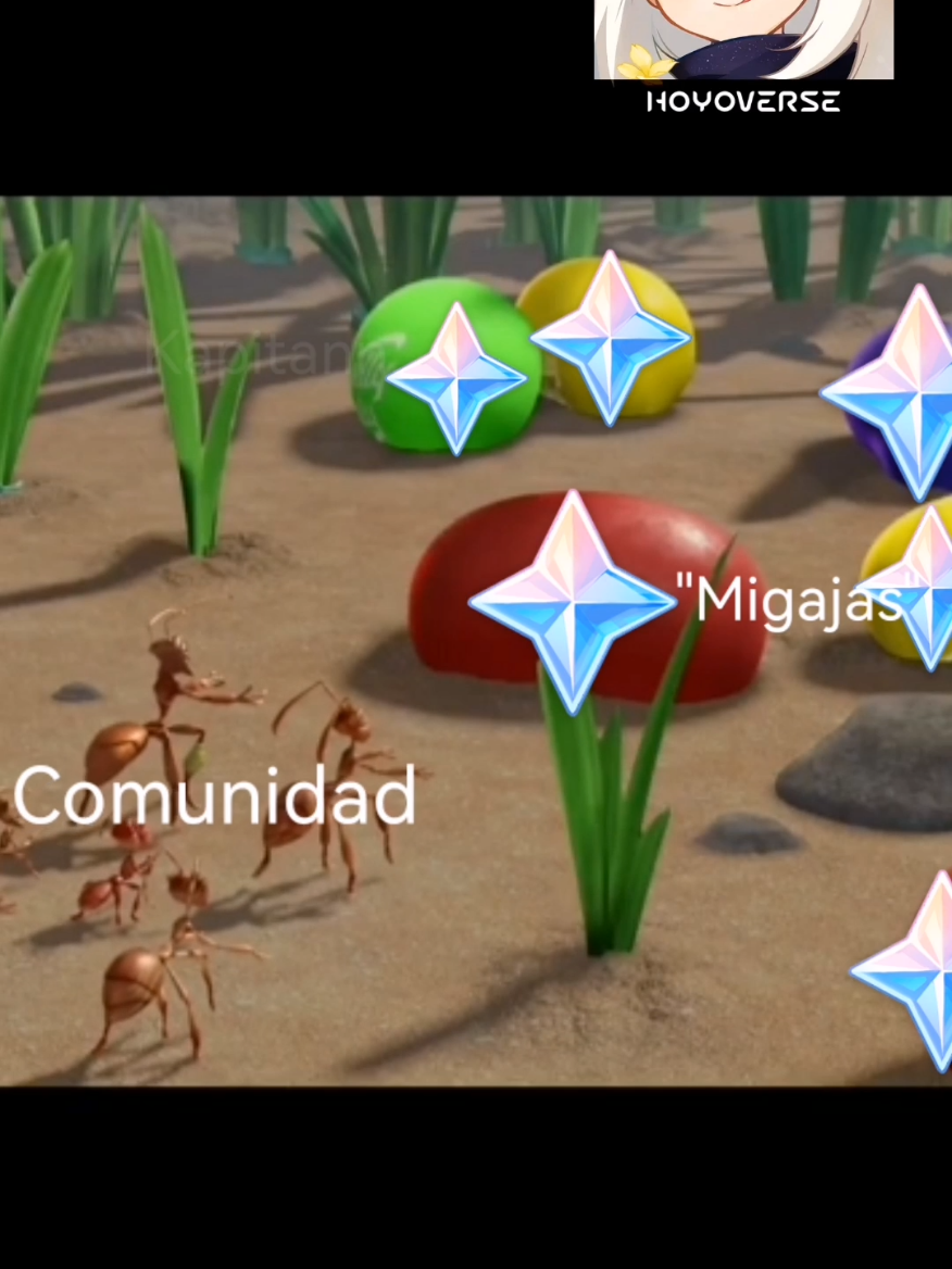 Reconpensas en #GenshinImpact #HonkaiStarRail #zenlesszonezero #hoyovers #hsr #zzz #genshin 