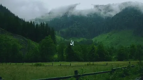 #قران #قران_كريم #اللهم_صلي_على_نبينا_محمد #الله 