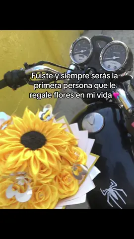 @SG 💗 💘 #floresamarillas🌻 #paratii #videoviral #amor #novios #parejas_enamoradas 