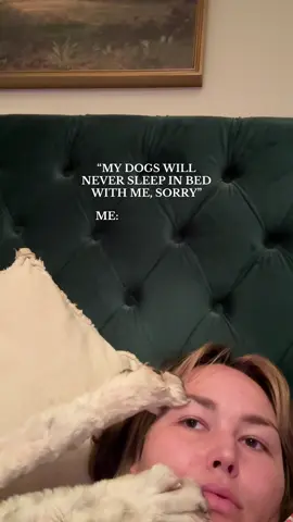 it’s their bed now honestly #momlife #dogmom #relatable #doglover #momhumor #fyp #viral 