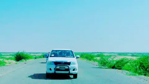 #👍👍👍👍👍👍👍👍👍👍👍👍👍👍 #الشلاتين__العبابدهـ_والبشارية🇪🇬❤✌🏻 #هاشتاقات_تيك_توك_العرب 