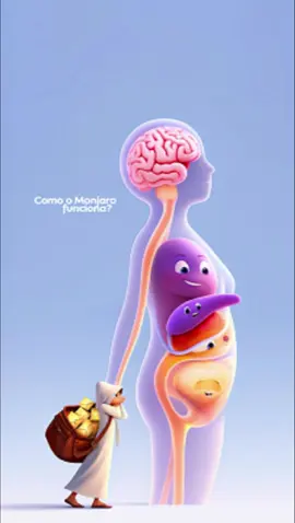 Como o Monjaro funciona ? Já se perguntou como o Monjaro age no nosso corpo? 🧐 Embarque em uma viagem incrível com o nosso mensageiro mágico e descubra como ele leva recados importantes para o pâncreas e o cérebro! 🧠✨ Controle do açúcar e da fome de um jeito que você nunca viu! 😉 #Monjaro #Diabetes #Saúde #CorpoHumano #Ciência #BemEstar #MensageiroMágico