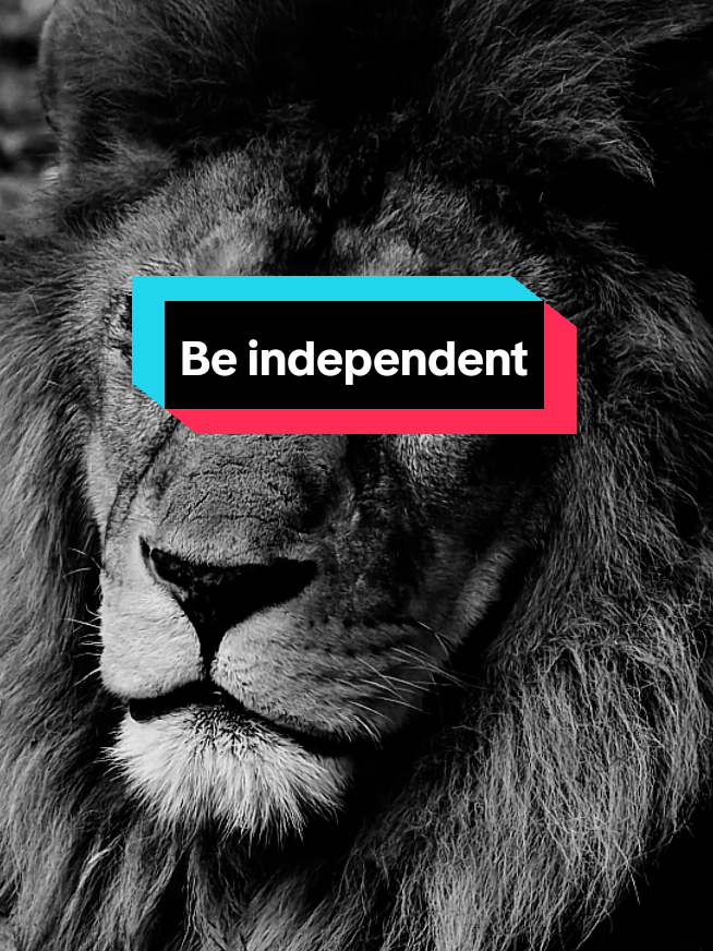 أنا لست هنا لألفت إنتباه أحد ولست في منافسة مع أحد I'm not here to attract anyone's attention and I'm not in competition with anyone #اقتباسات #حالات_واتس #تيك_توك #ترند #تحفيز #خواطر #تيك_توك #ستوريات #عبارات #كلام_من_ذهب #motivation #motivationalvideo #motivationmonday #motivationalquotes #tik_tok #explore #fyp #viralvideos #tranding #السعودية #العراق #فرنسا #سوريا #الأردن #الكويت #عمان #البحرين #قطر #عمان #الجزائر #المغرب🇲🇦 #مصر🇪🇬 #ليبيا #لبنان #france #italy 