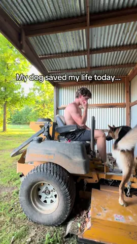 Thank god he was there😭 #dog #dogsoftiktok #fyp #fy #westin #cayson #livingaloneinmy20s #dailyvlog #chaos #family #germanshepherdsoftiktok #germanshepherd #dogtok #Vlog 