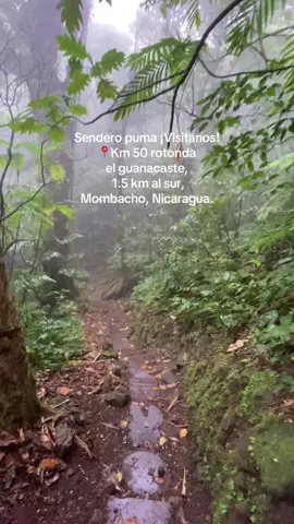 Un lugar perfecto para conectar con la naturaleza.🍃#senderismo #mombacho #puma 