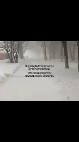 #щп #щитпост #рекомендации 