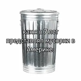 там ещё еноты живут  #америка #рофл #мусорки 