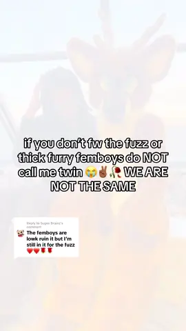 Replying to @Super Brainz we are NOT the same #furry #furryfandom #femboy #femboytiktok #fyp 