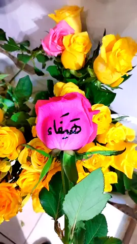 #هيفاء#اكسبلور #مصر_السعودية #الحبايب #حروف_الحب 