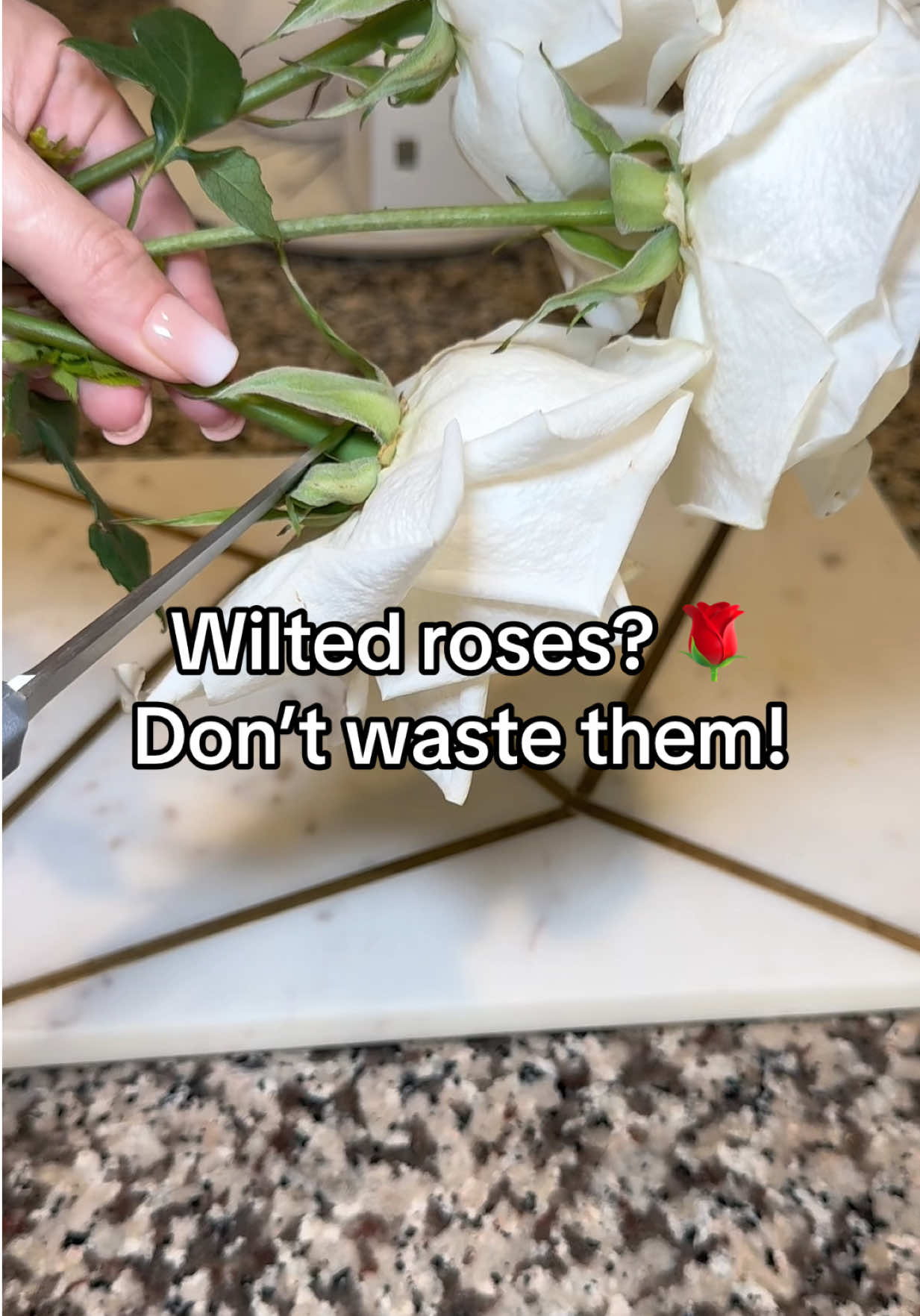 This simple trick turns wilted roses into a dreamy bath soak! Add salt & essential oils for the ultimate spa vibe. No waste, all beauty❤️. #DIYLifeHacks #lifehacks #TikTokDIY #SpaHack #ecohacks #RelaxHack #UpcycleFlowers #NoWasteTips  #EcoFriendly #TikTokLearningCampaign 