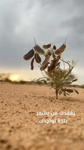 يفقدك من يشعر بلذة تواجدك#الصديق#اكسبلورexplore #4u #explorepage 