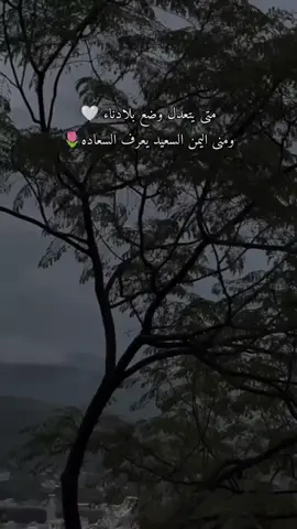 شفت اليمن تبكي بصوره حزينه  #اكسلبور #الدباني #دان #اكسلبورexplore 