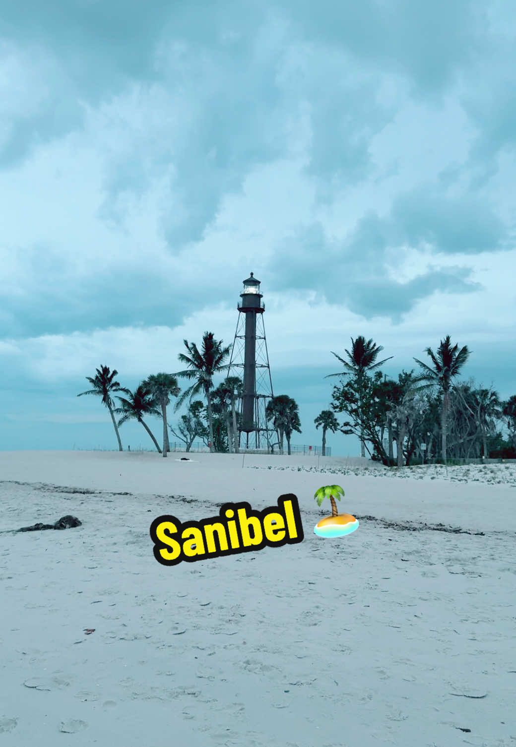 Sanibel island. #sanibelisland #delfins #beach #sanibellighthouse 