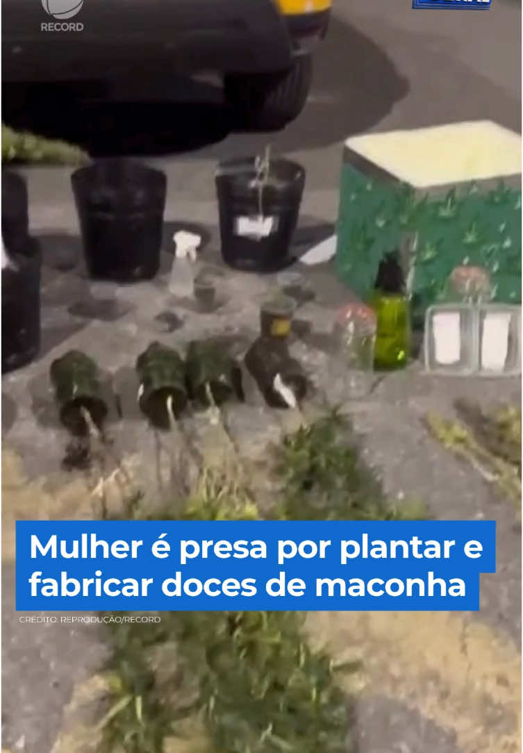 O brigadeiro, doce típico da culinária brasileira inventado em São Paulo, está sendo usado de forma ilegal por traficantes que estão recheando o doce com maconha. A prática, conhecida como “brisadeiro”, tem se espalhado rapidamente entre os jovens, principalmente em shows, baladas e até nas universidades da capital paulista. A equipe do Balanço Geral flagrou a venda desse tipo de droga. Em uma ação recente, uma mulher que cultivava maconha e fazia os “brisadeiros” foi presa pela polícia.  👉 Assista à reportagem completa do #BalançoGeral em R7.com/balancogeral