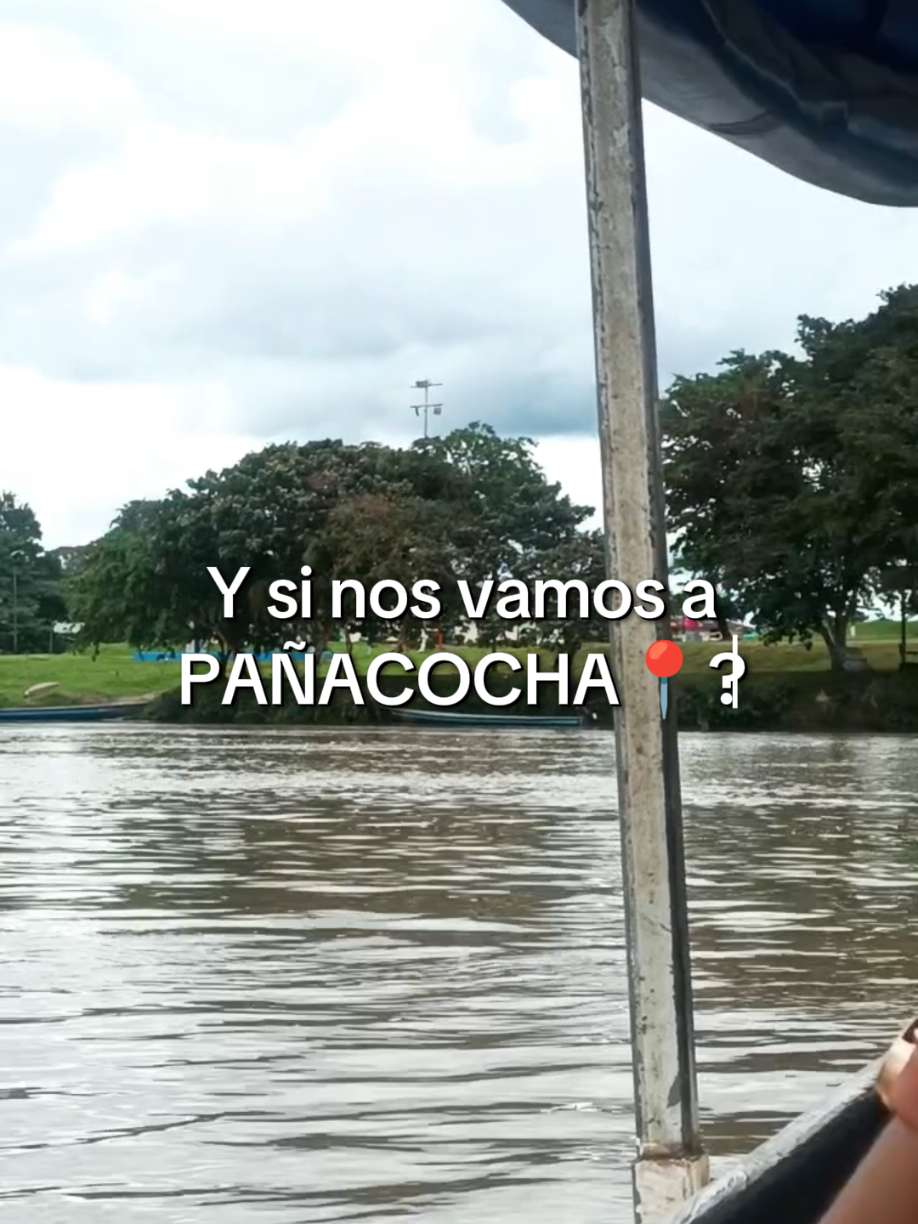 el hogar de las pirañas PAÑACOCHA📍🐟 SUCUMBIOS @PAÑACOCHA ADVENTURES. ec🇪🇨  #sucumbios #traveling #turismo #amazonia  #pañacochaecuador #pañacocha 