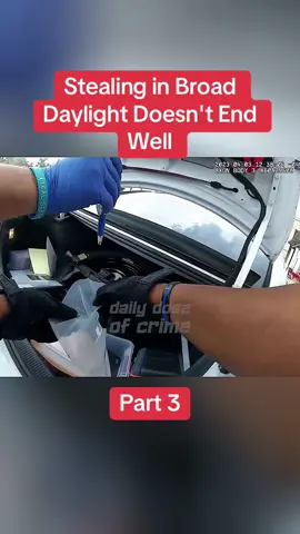 Stealing in Broad Daylight Doesn't End Well  Part 3	 #cops #copsoftiktok #police #policeofficer #bodycam #crime #truecrime #truestory #foryou #fyp 