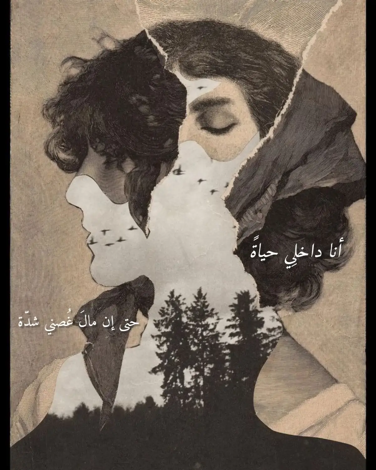 هُدنة الحياة  هي أنا  مما دُنى  علي حالي يَمِيلُ جفنِي  للبُكاءِ  وأنا أنبتُ نُورًا  و زَهِي  حدّة العِينينِ, بي  وإني سُهد في  نُكرانِ  أنا عِبءُ الشدّة  و كفاي وأنشدُ لغُصنِي  الآملا نهاري أنا حياةً, حتى  إن مالَ غُصني  شدّة - #fyp#كتاباتي#أقتباسات 