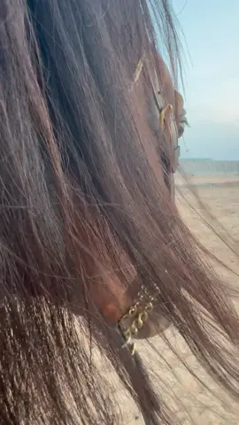#خيل_وخياله🐎 #خيل #الشعب_الصيني_ماله_حل😂😂 #fppppppppppppppppppp #foryoupage #fppppppppppppppppppp #creatorsearchinsights #explore #ترند #خواطر #اكسبلور #حزن #foryou #الرياض 