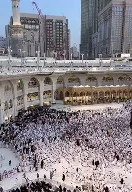 #الحجاج #مكه_المكرمه #لبيك_اللهم_لبيك_لبيك_لا_شريك_لك ##🤲🤲🕋🕋🤲🤲 