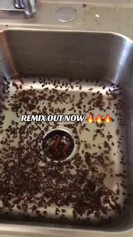 Here go more of my remix I hope yall like it 😎 #fyp #fypシ #viral #viralvideo #trendingsong #tiktok #makemefamous #foryoupage #remix #engagement #creatorsearchinsights #contentcreator 