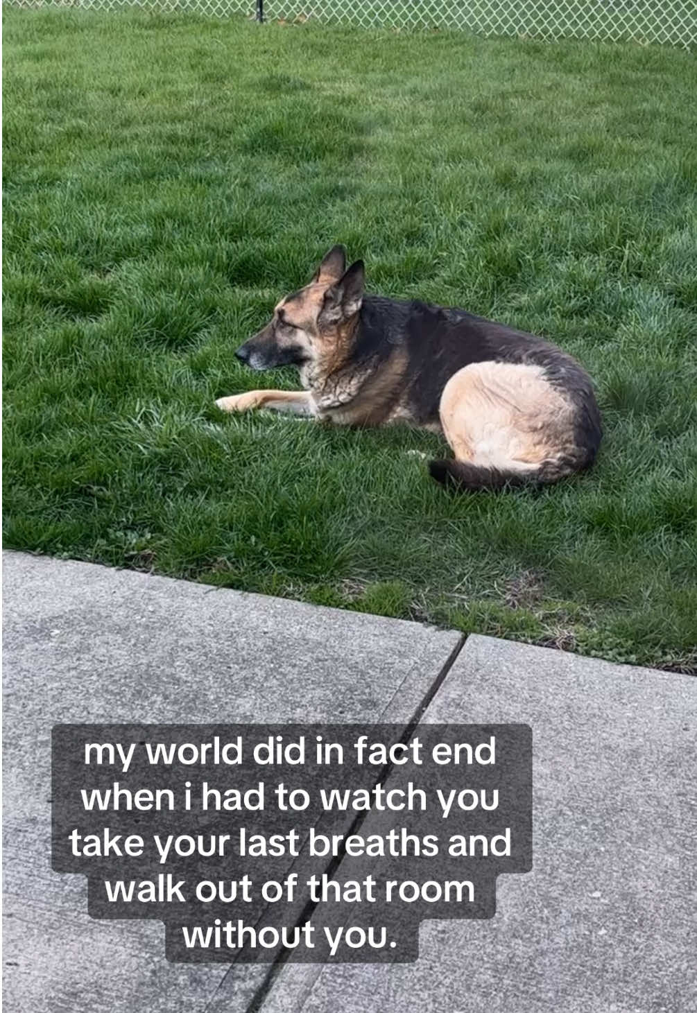 you deserved forever  