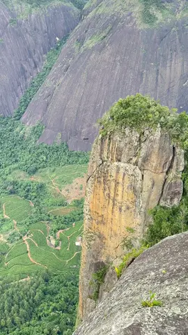 El café de la mañana #mauotero #brazil 
