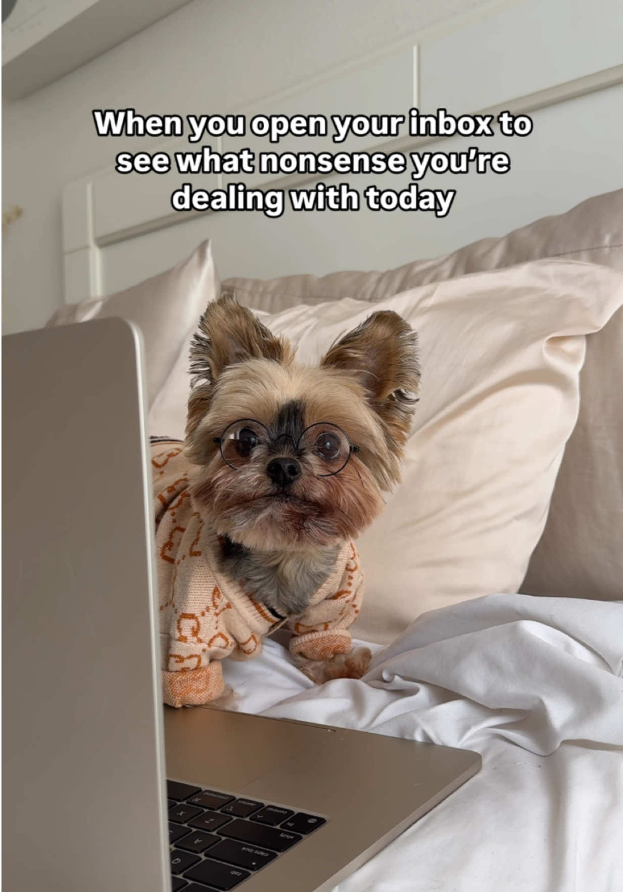 *turns on OOO message” 🐥💻 #duckytheyorkie 