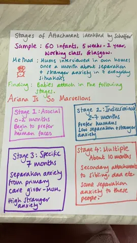 Stages of attachment identified by Schaffer #aqapsychology #paper1psychology #psychologypredictions #OxfordRevise #exams2025 #alevelpsychologyrevision #revision 