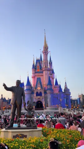 becoming a disney adult 🤝🏼#thisisthewholepoint #disney #disneyworld #waltdisneyworld 