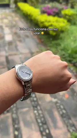 Reloj ecodrive 🌱✨ solo necesita luz para funcionar, sea luz solar o luz artificial 💡 @Kevin's Joyeros @Citizen Watch  #CitizenLatam #EcoDrive #CitizenWatch