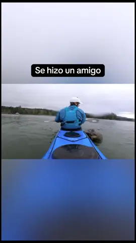 El contenido que merezco 🦦 @Eric 