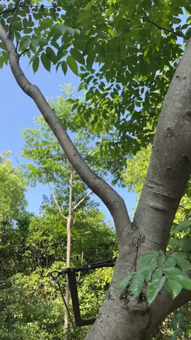 Smart Tool !#knot #rope #knottutorial #knottutorials #campinghacks #camping #knotsforcamping #knotsforfishing #knotsforbeginners #lifeskill #LifeHack #boyscouts #bushcraft #survivalskills #Outdoors #knotting #sheetbend #hitch #simpleknot #bestknot