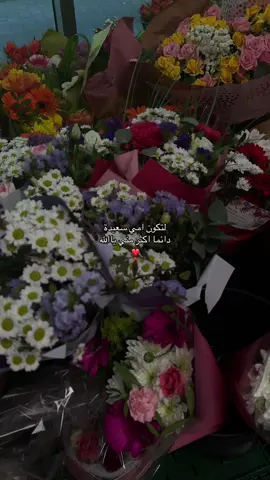 أمي غطت كل ثغرات الحياة  كل ما نقصنى انا شى في الحياة غطته أمى جعلنى والله ما اتبدل فيها 