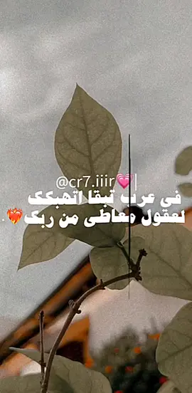 #صوب_خليل_خلق_للجمله🎶❤🔥💔💔 #شتاوي_وغناوي_علم_ع_الفاهق❤🔥 #عبيدي_ربنا_مانا_عبيدي_لوالي🤚🔥 #شتاوي_غناوي_علم_ليبيه #العبيدي_دولة_وعلم #الشعب_الصيني_ماله_حل #الشعب_الصيني_ماله_حل😂😂 