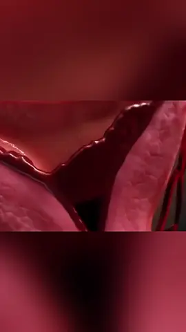 pode ter relação depois da menstruação  #menstruação #saudedamulher #saudeebemestar #Saude #menstruar #saude 