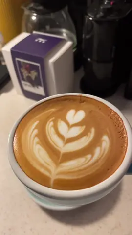 المنظر اللي ما امل منه 🫂☕️ . . #اكسبلور #foryou #explore #fyp #الشعب_الصيني_ماله_حل😂😂 #فلات_وايت #ديلونجي_ديديكا #باريستا #coffee #ارت 