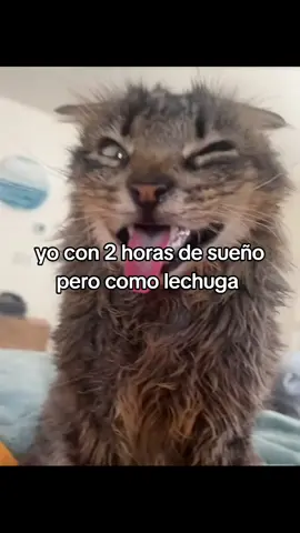 #viral #pontep #paratiii #generochileno #paratiiiiiiiiiiiiiiiiiiiiiiiiiiiiiii #parati 