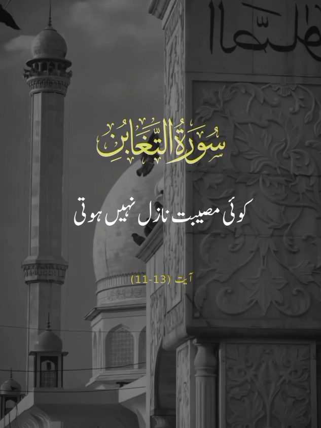 SURAH AT-TAGHABUN 🕊️❤️ VERSES 11-13 #repost #surahattaghabun #urduqurantranslation #alquran #explore #fyp #viral #foryourpage #qurantarjuma #withranay_ 