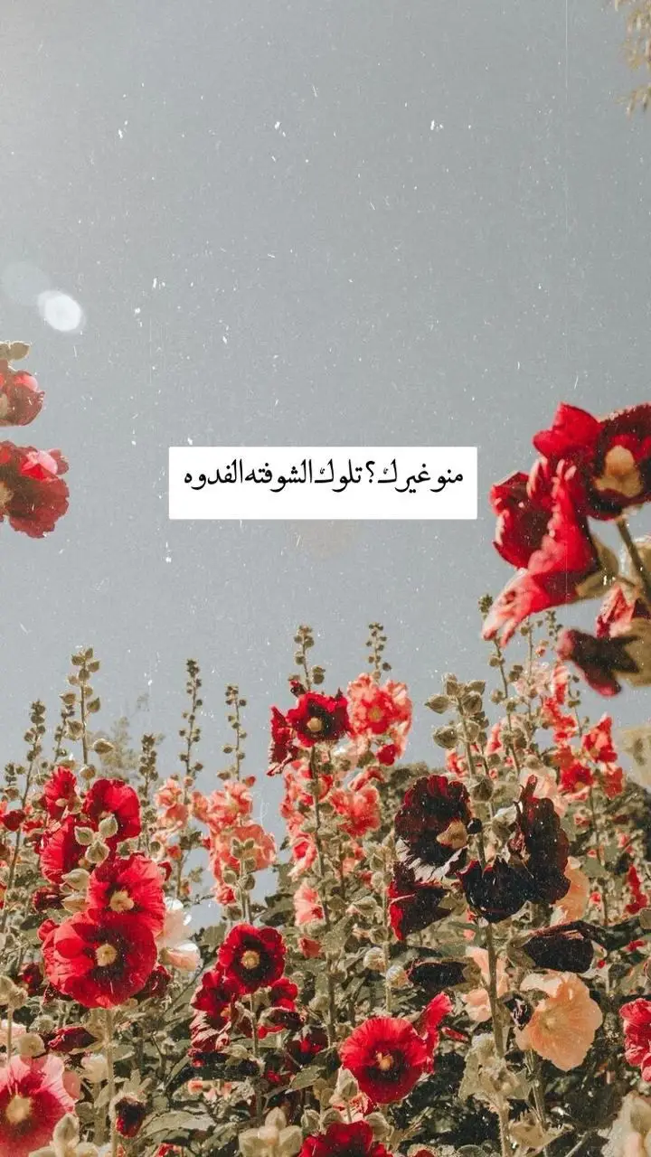 #ستوريات #رسائل #مقالات #ستوريات 
