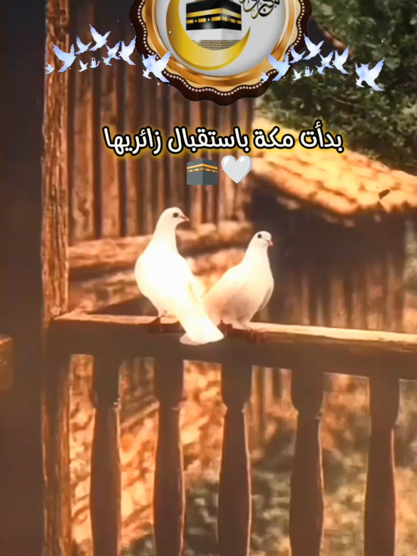 #CapCut #بدات_مكة_باستقبال_زائريها #اللهم_اطعمنا_زيارة_بيتك_الحرام #يارب 