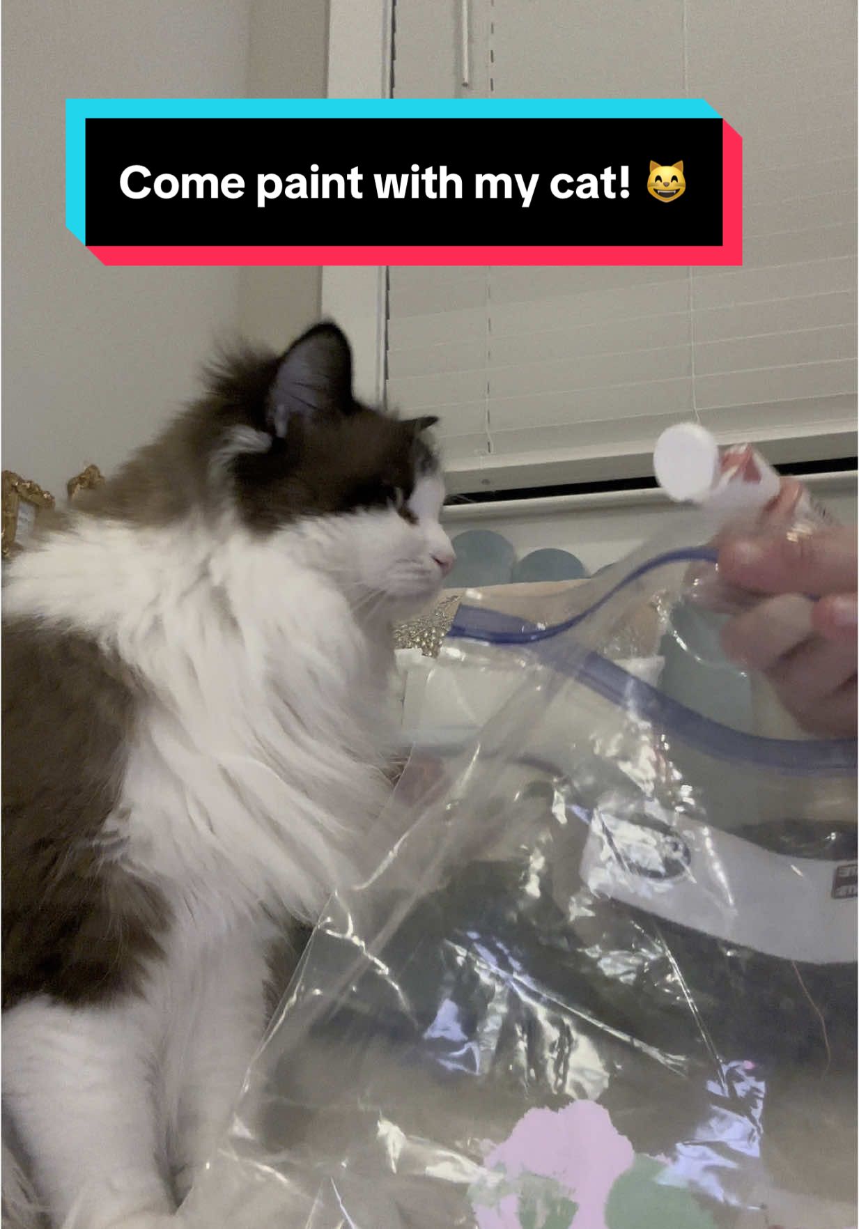 Tiny paws, big talent #tinyartclub #paintingwithmycat #emotionalsupportcat #catsoftiktok #cattok 