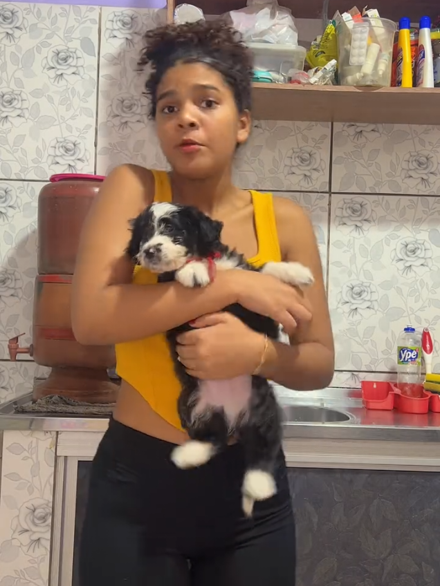 OLHA ESSE CACHORRINHOO !! SIGAM no insta railenashowofc e railenaversoficial  @𝗥𝗮𝗶𝗹𝗲𝗻𝗮𝘀𝗵𝗼𝘄𝗼𝗳𝗰 @𝗥𝗮𝗶𝗹𝗲𝗻𝗮𝘀𝗵𝗼𝘄𝗼𝗳𝗰 @𝗥𝗮𝗶𝗹𝗲𝗻𝗮𝘀𝗵𝗼𝘄𝗼𝗳𝗰  #railenashow #teresina #teresinapiaui #piaui #piauiense #morena #moreninha #moreninhagostosa #elenco #chiquititas #explorar #raylenashow #railenashowoficial #fy #fyy #fyu #viraltiktokvideo #musica #tiktok #tiktokviral #tiktokviralvideos #antonelabraga #lizmacedo #dudaguerra #polemica #show #tiktok #tiktokviral #tiktokviralvideos 