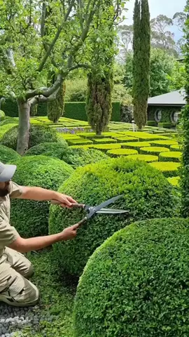Happy World Topiary Day everyone.. 🍃🍃🍃 . Here's a little a throwback to when I had the pleasure of clipping at Stonefields. 🍃🍃 . @hedgelover_  . . . . . . . . . . . #hedgelover_ #topiarlover_ #traveltopiary #hedgelovertours #paulbangay #stonefields #ihavethisthingwithhedges #greenery #buxus #reeloftheday #design #landscapedesigner #gardendesign #scenic #views #spring #jardin #reels #topbuxus #handclipped #goals 