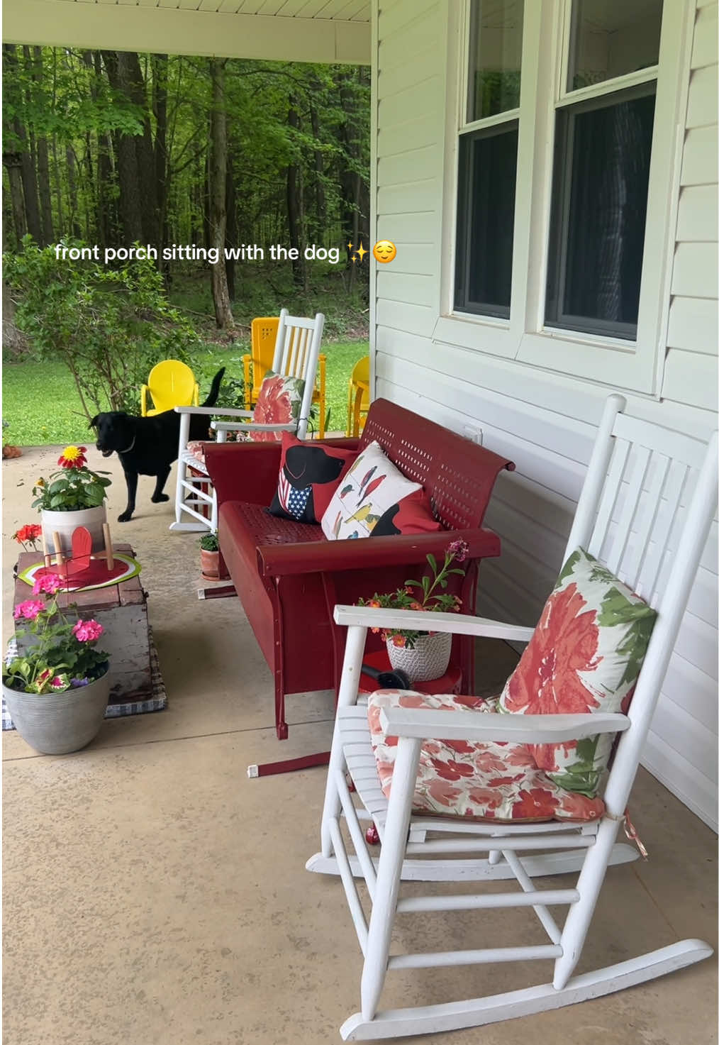 & some rhubarb for a lil snack 🤌🏼 