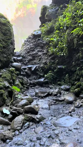 Masya Allah Indahnya#airterjuntumpaksewu #lumajang #jawatimur 