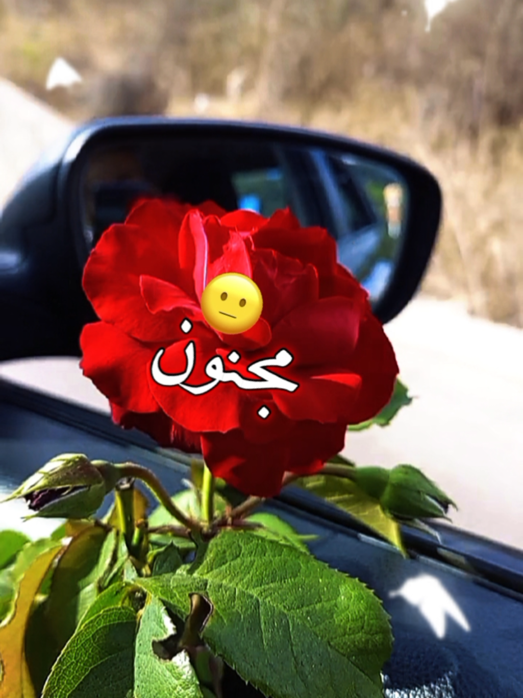 انت الشريان الابهر وتوزع الدم بجسمي#منشن_للي_تحبه #منشن #تاغ_للحب #اكسبلور #ترند_تيك_توك #مشاهدات #لايك_متابعه_اكسبلور #تصويري #lavendr81 #viral #tiktok #amazing #beautiful #rose #flowe #تصميم_فيديوهات🎶🎤🎬 #Love #lik #CapCut 